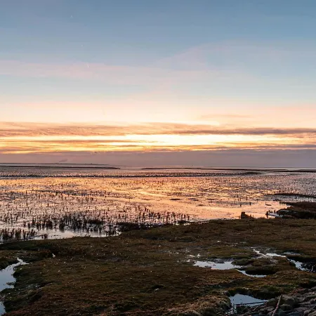 Mantelmoewe By Interhome