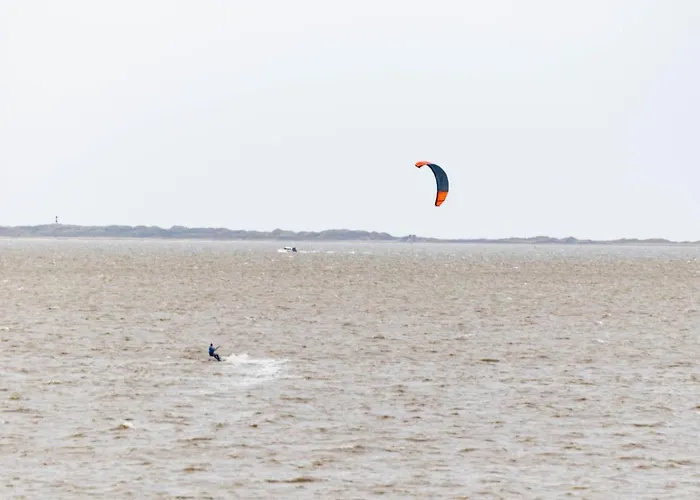 Mantelmoewe By Interhome Lejlighed Norddeich (Norden)